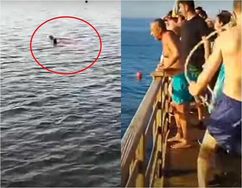 Туристки в Египте