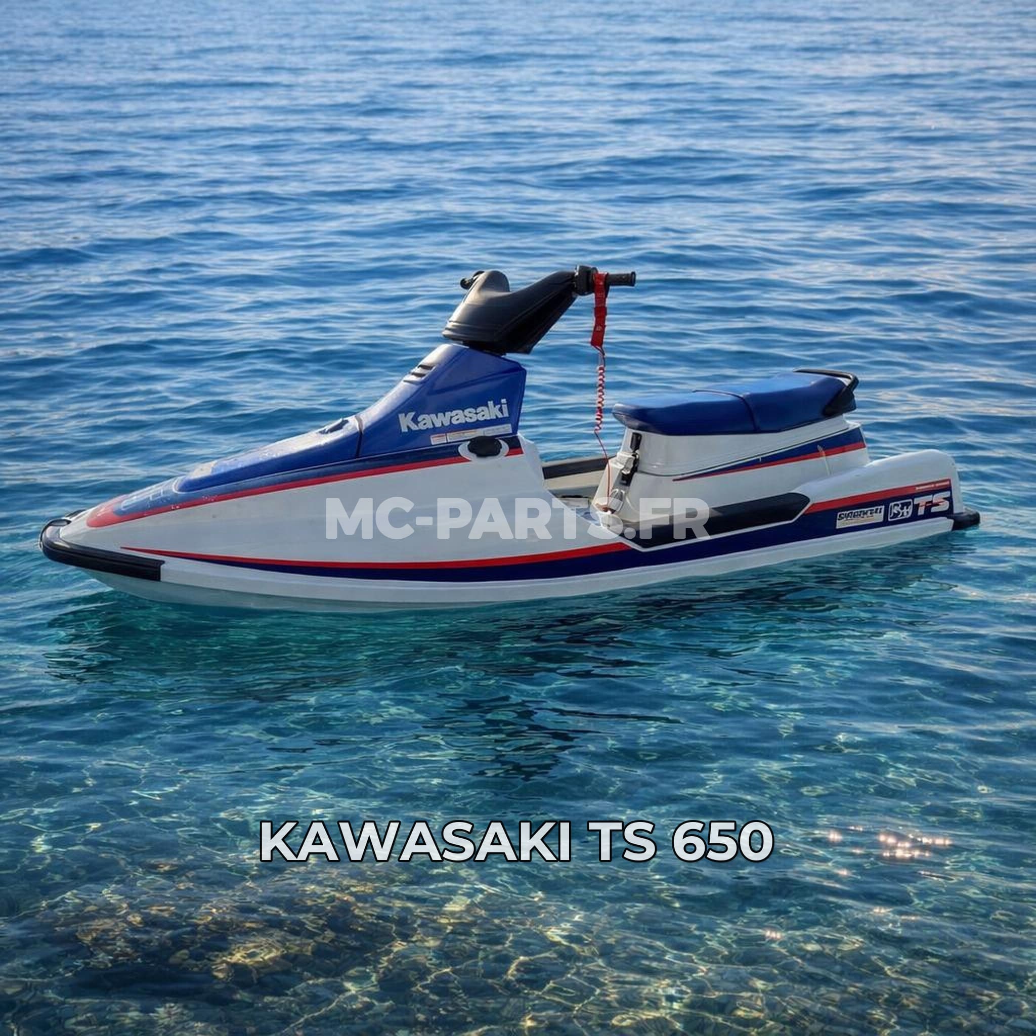 Kawasaki TS 650