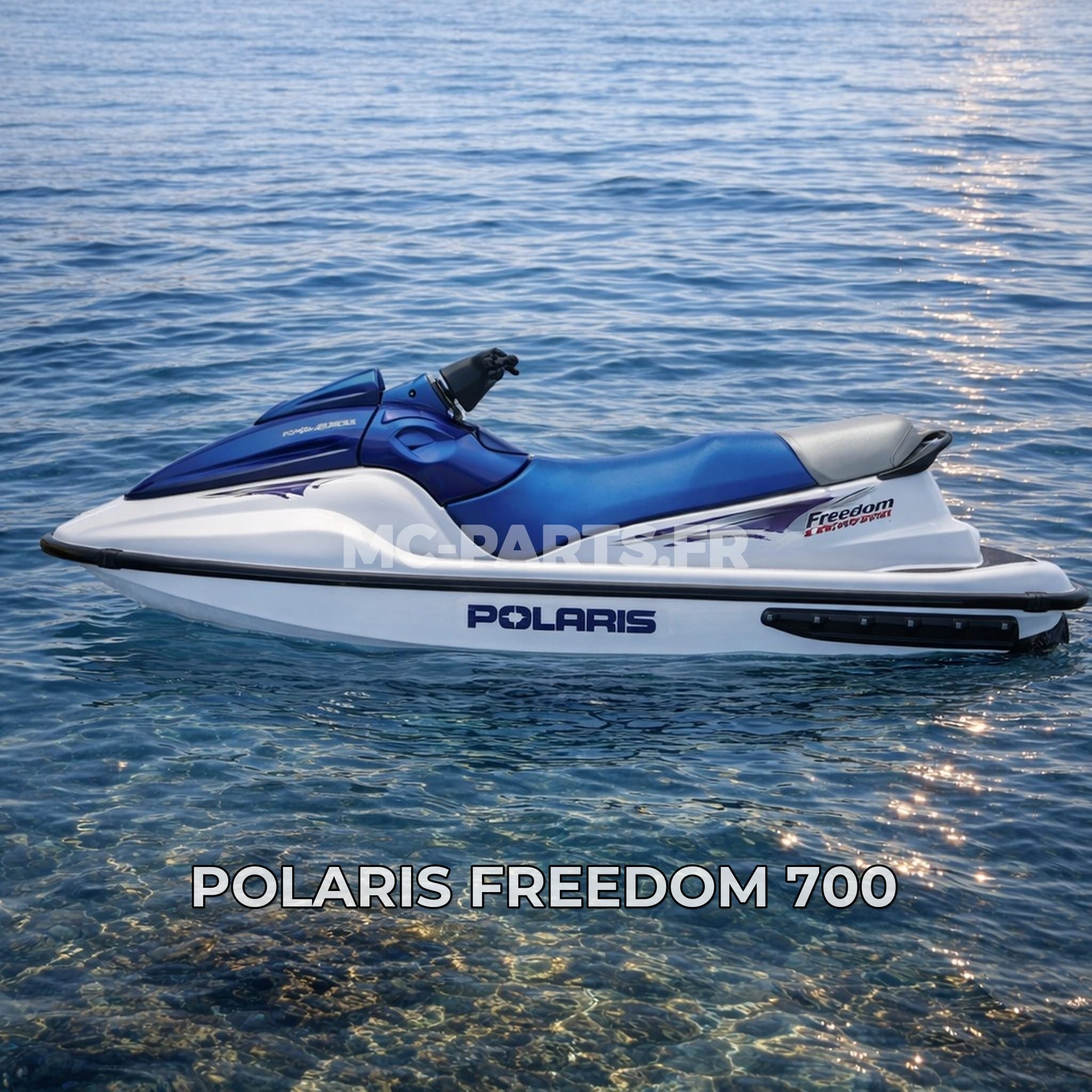 Polaris FREEDOM 700