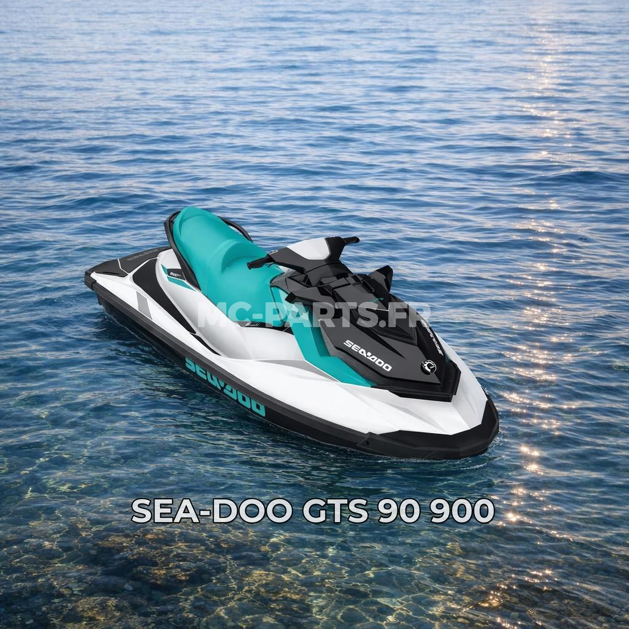 Sea-Doo GTS 90 900