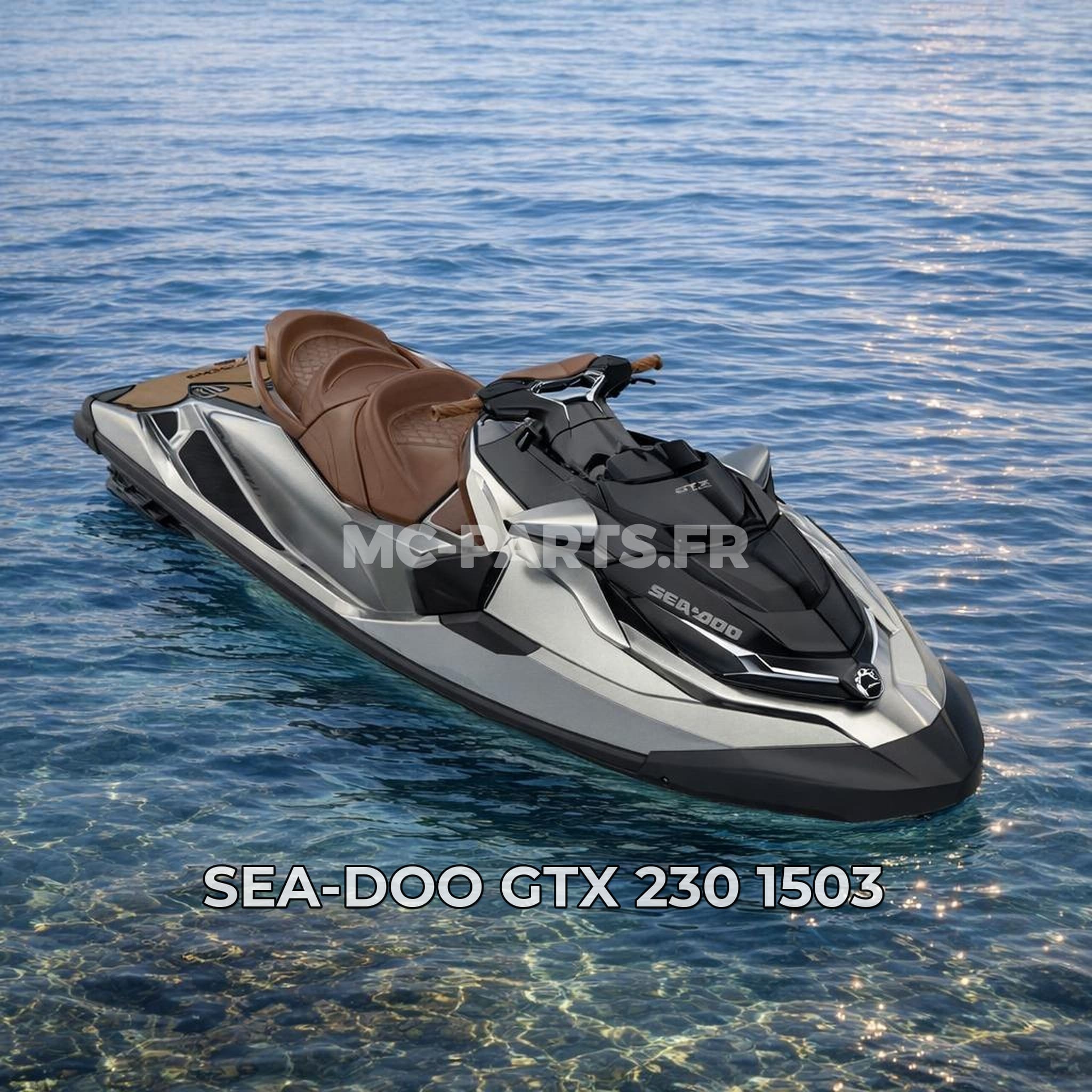 Sea-Doo GTX 230 1503