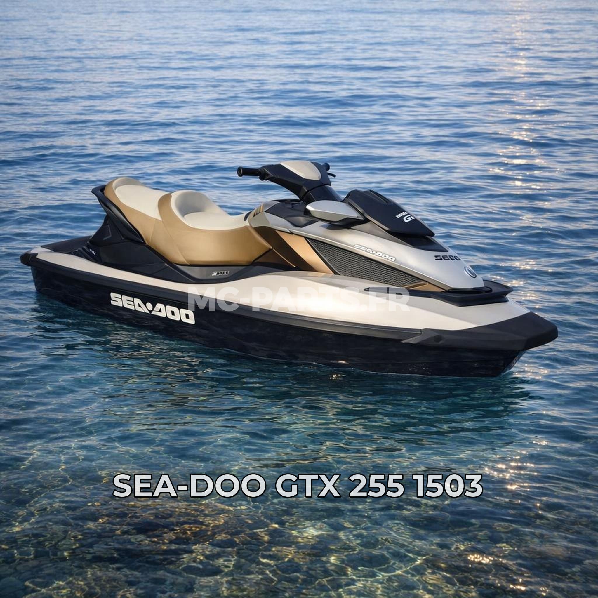 Sea-Doo GTX 255 1503