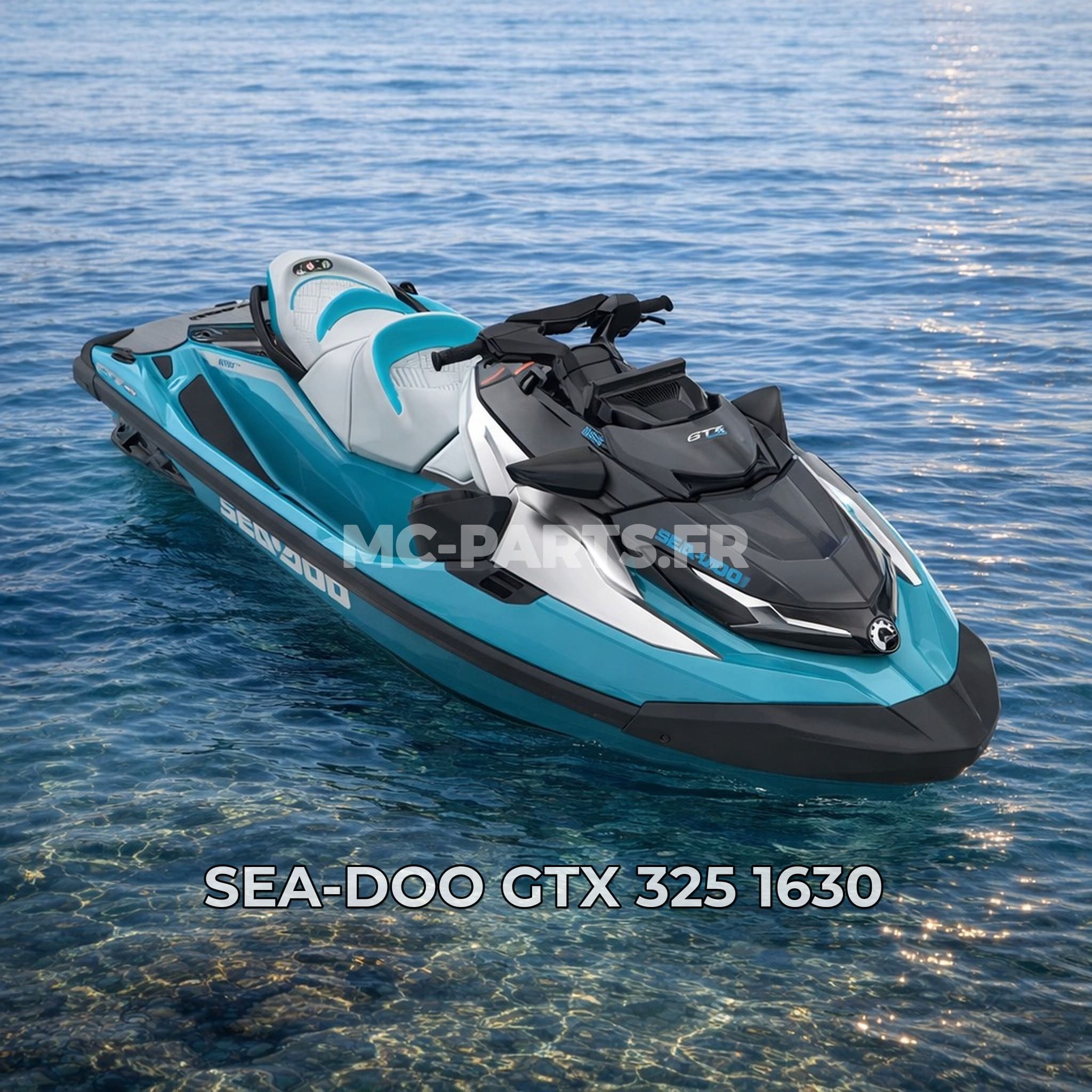 Sea-Doo GTX 325 1630