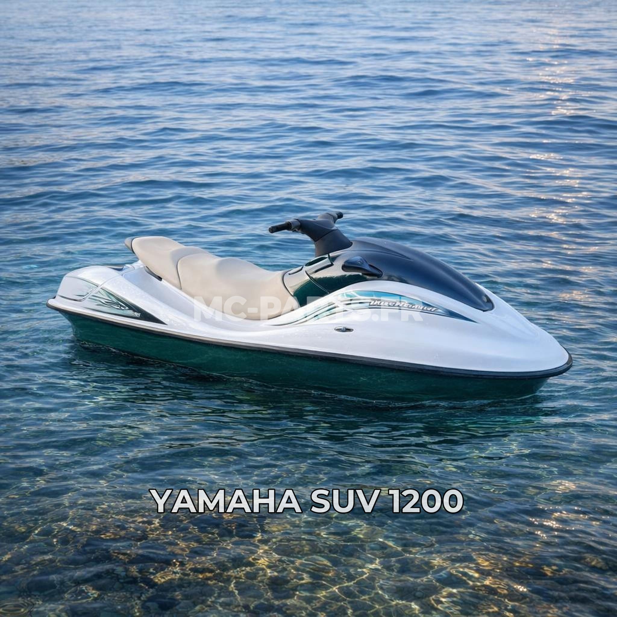Yamaha SUV 1200