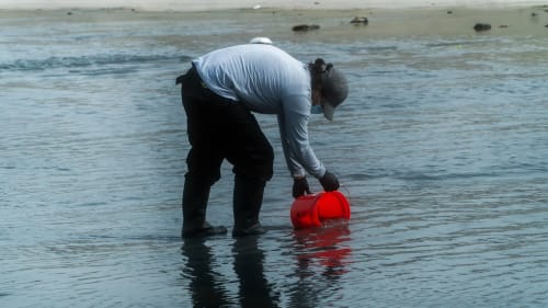 El Río Tijuana se convierte en aula viva: estudiantes analizan la calidad del agua