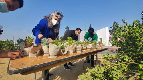 Estrena Tijuana Innovadora jardín escultórico en memoria de víctimas de Covid-19