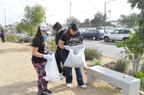 Realizan Tijuana Verde y FIMUBAC jornada de limpieza
