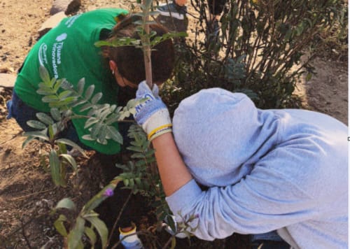 Realizan última jornada de limpieza del año en Jardín del Recuerdo