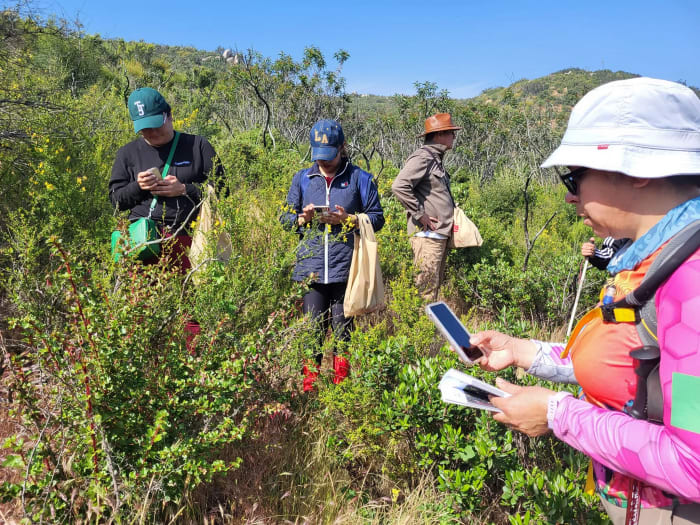 Participa Tijuana Verde en expedición botánica en Rancho Casián