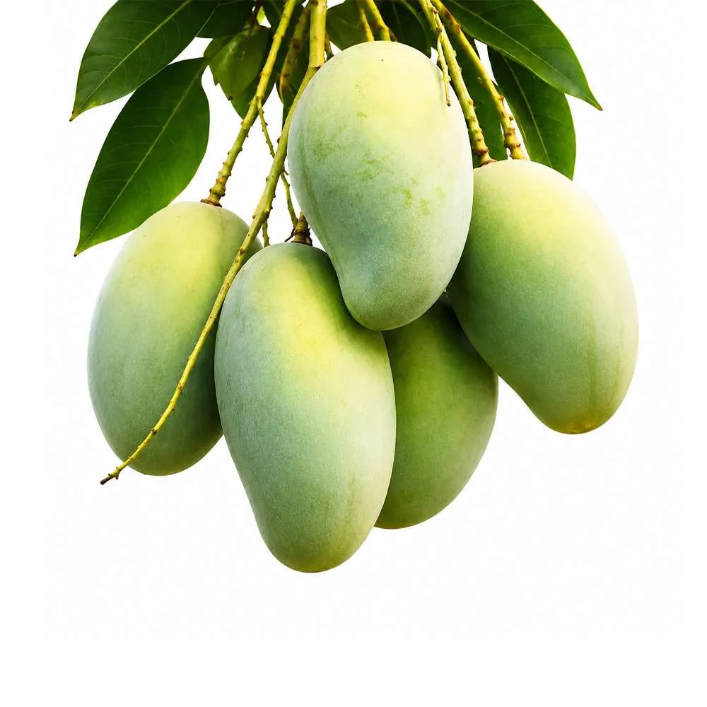 amrapali mango-5 kg