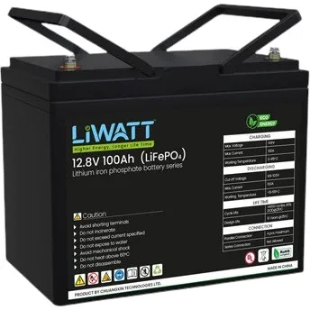 liwatt lithium ion lifepo4 12.8v 100ah ips/ups battery