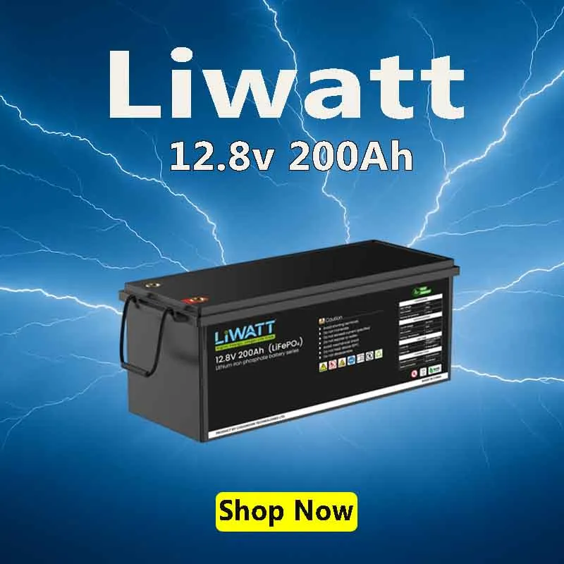 liwatt lithium ion lifepo4 12.8v 200ah ips/ups battery