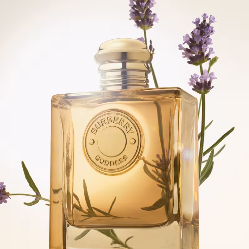 Burberry Goddess EDP Intense price in Nepal-Vanijay-4