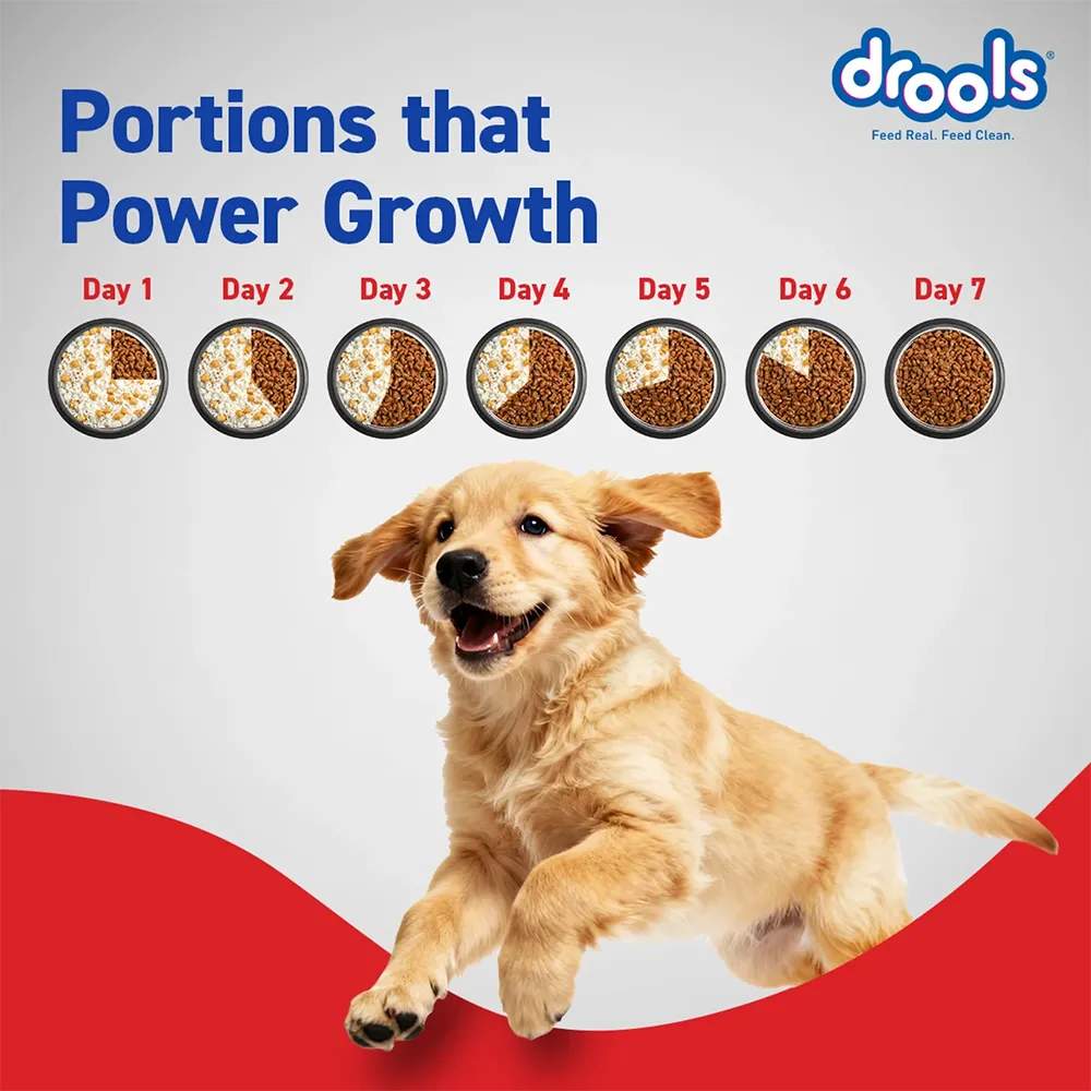 drools-puppy-dry-dog-food-1.2kg-nepal-8
