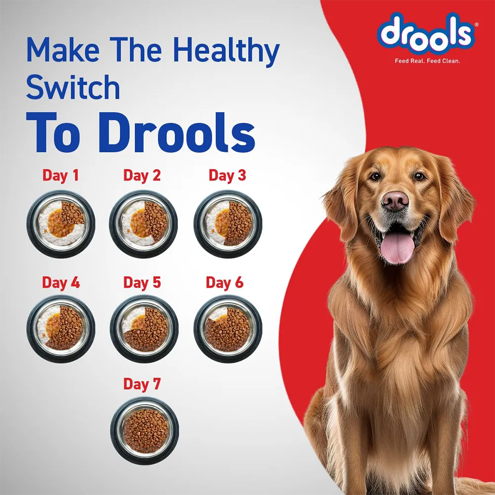 drools-adult-dry-dog-food-nepal-8