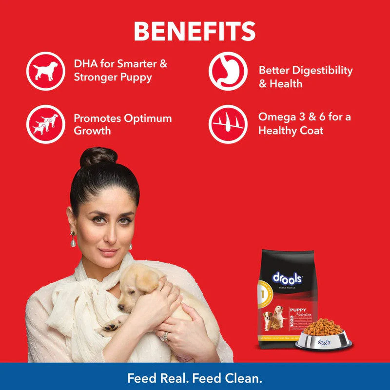 drools-puppy-dry-dog-food-400g-nepal-3