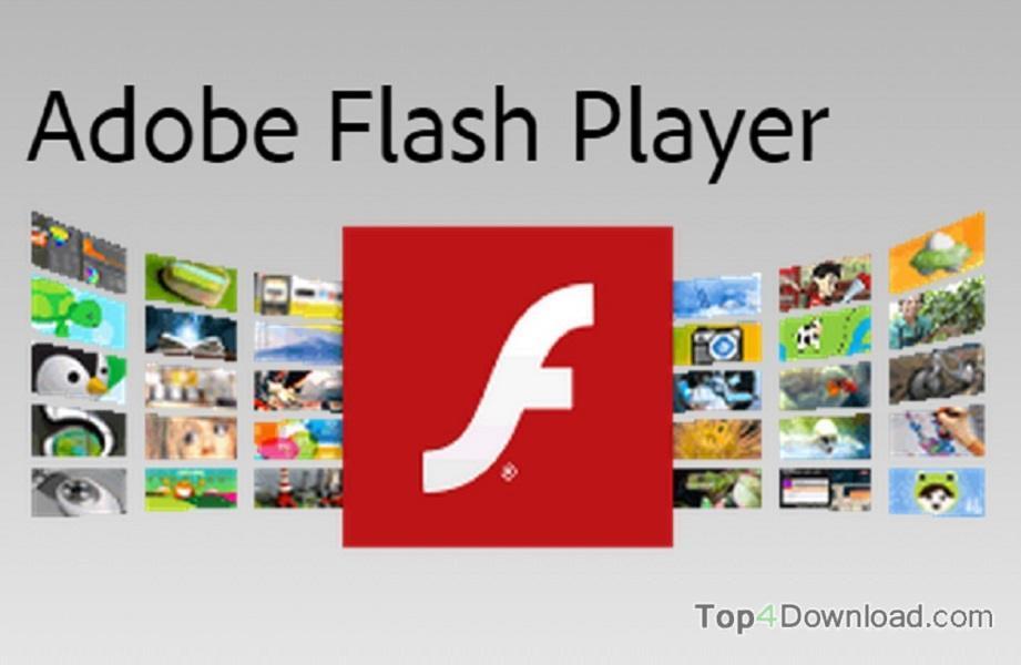 adobe acrobat reader flash player free download
