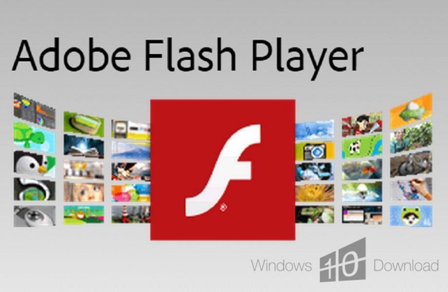 adobe flash player free download windows 10 pro