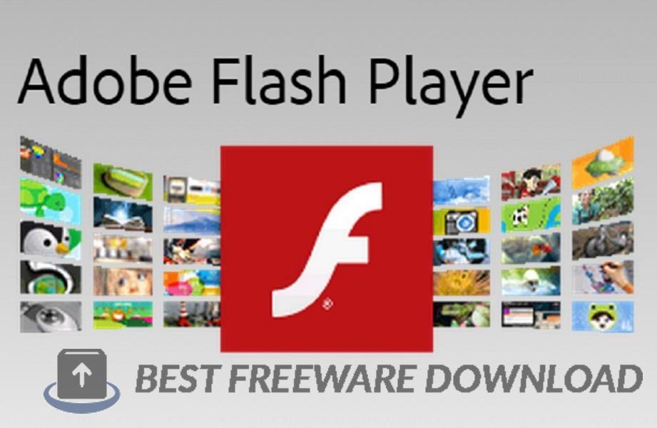 Adobe Flash Player 7 for Pocket PC  full