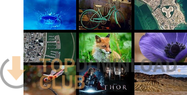 Windows 8 Themes - Dynamic software