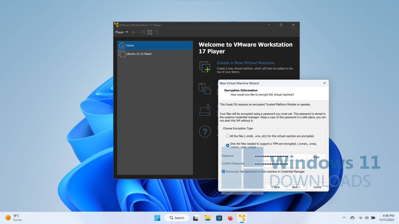 VMware Player Windows 11 download