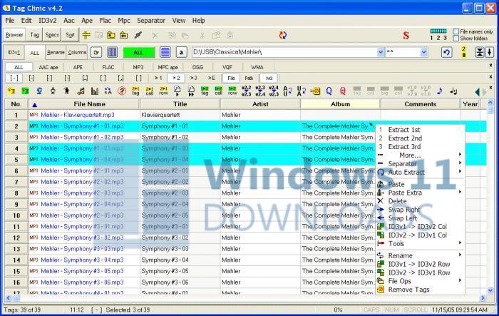 Tag Clinic Windows 11 download