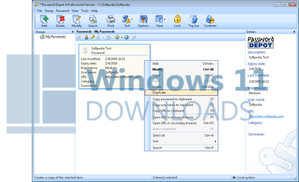 Password Depot Server Windows 11 download