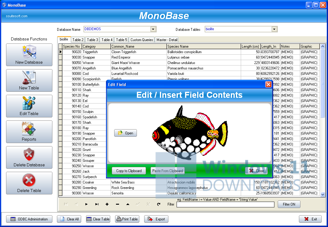 SSuite Office - MonoBase Windows 11 download
