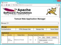 Apache Tomcat x64 screenshot