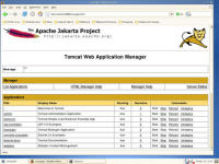 Apache Tomcat x64 screenshot