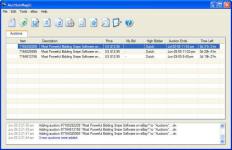 AuctionMagic screenshot