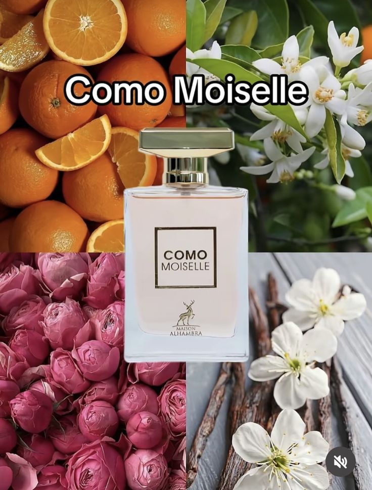 Gammes de Parfums Floral - Dubai Negoce