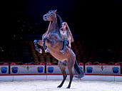 Charmaine Berdino Hesteshow