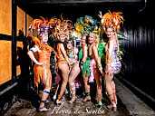 Flores de Samba