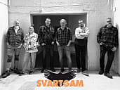 Svartgam