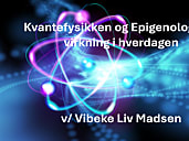 Vibeke Liv Madsen, Kvantefysik i hverdagen