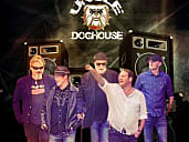 UNCLE DOGHOUSE