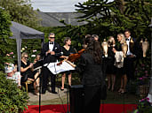 Alejandra Strings Violin