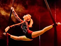 SVETLANA arts