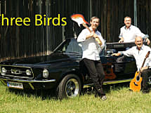 Three Birds