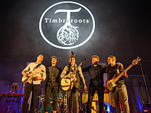 Timbreroots