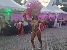 Samba -Latin Show