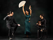 Die Flamencobande
