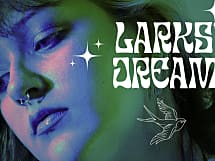 Larks' Dream