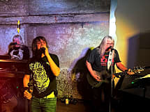 Die Partyband aus Bochum - Michael Wurst & die Tweens
