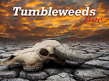 Tumbleweeds