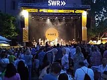 Paule Panthers Groove Club