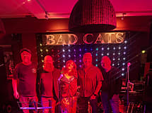 Bad Cats