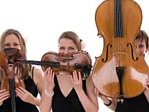 Bowfiddle Strings
