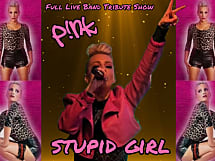 Stupid Girl - Pink Tribute